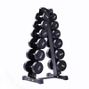 Arsenal Dumbbells Free Weight Rubber Coated Cast Iron Black Dumbbell for Exercises